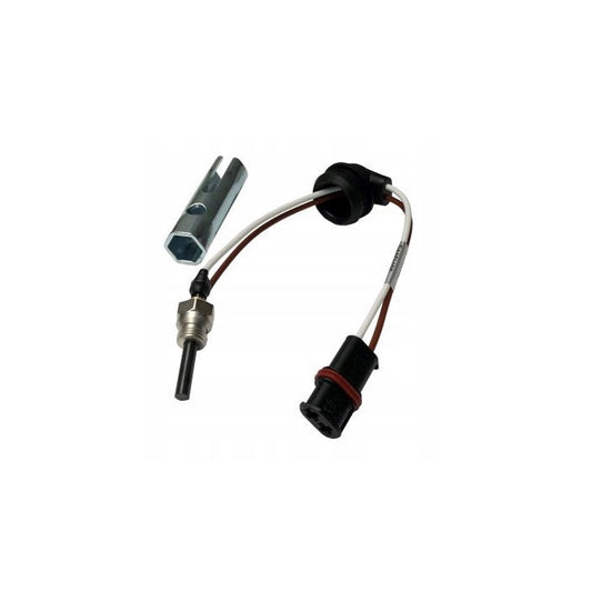 Candeletta Eberspächer D2 D4 12V | 252069011300