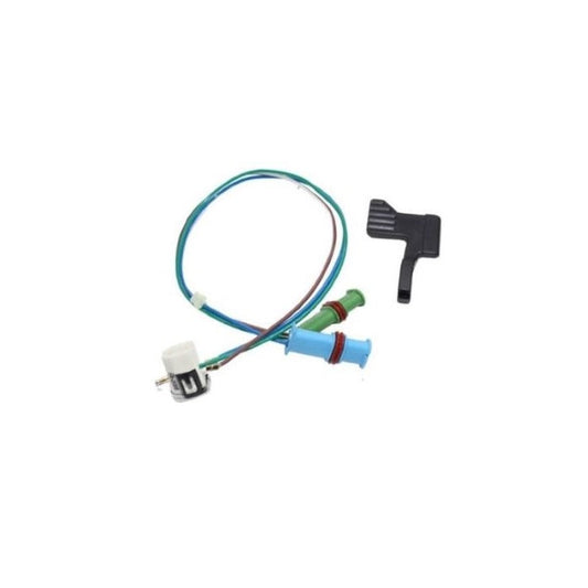 Sensore di surriscaldamento et della fiamma per Eberspacher AIR TRONIC D2 D4 | 252069010200
